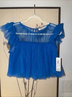 Lizard Thicket Royal Blue Ruffled Sheer Blouse